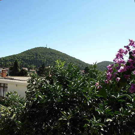 Carpe Diem Maison d'hôtes Dubrovnik