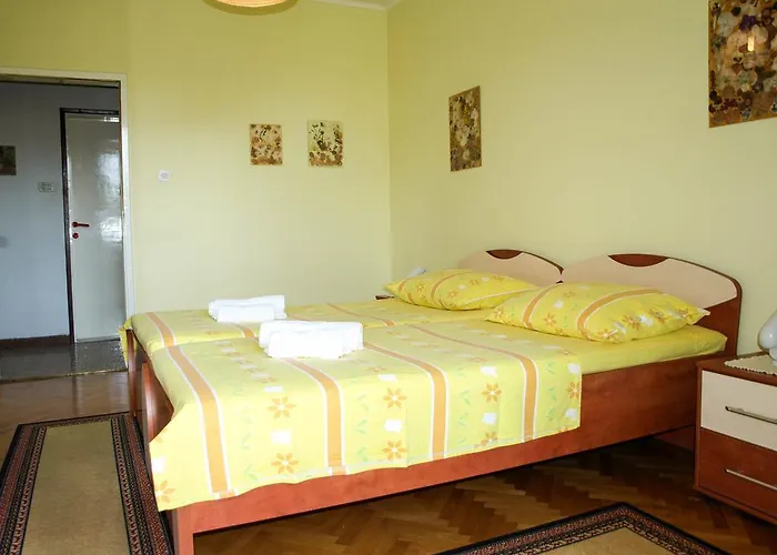 Carpe Diem 招待所 *