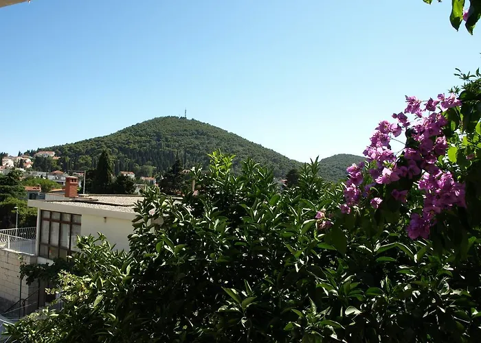 Carpe Diem 招待所 杜布罗夫尼克