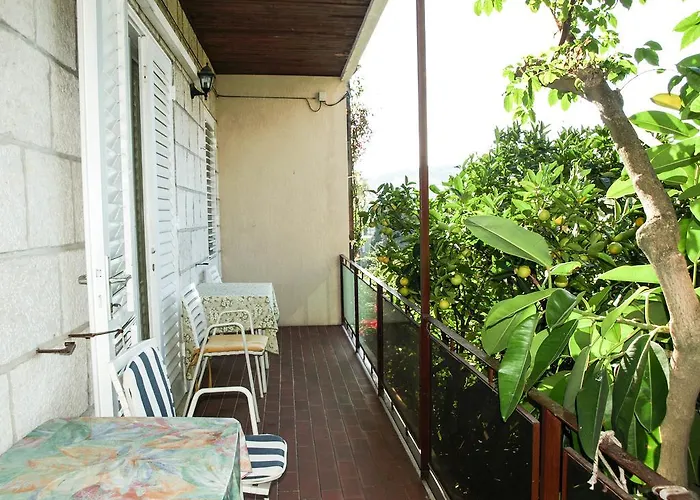 Carpe Diem 招待所