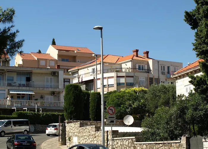 Carpe Diem 招待所